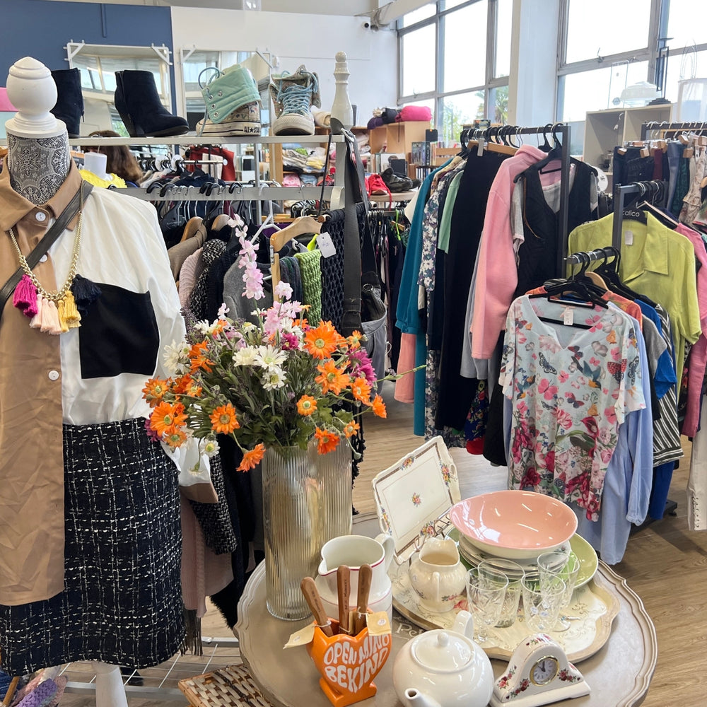 Las Mejores Tiendas de Caridad en Westport, Nueva Zelanda | Guía y Compras Solidarias