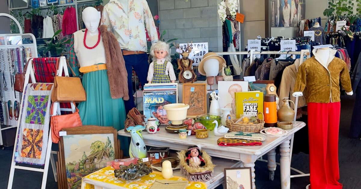 Mejores Tiendas de Caridad en Gisborne para Compras Solidarias
