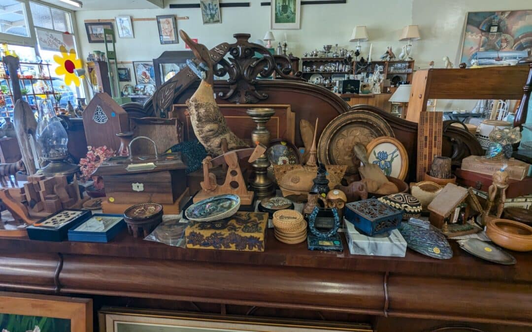 Las Mejores Tiendas de Caridad en Wanganui: Guía y Fotos
