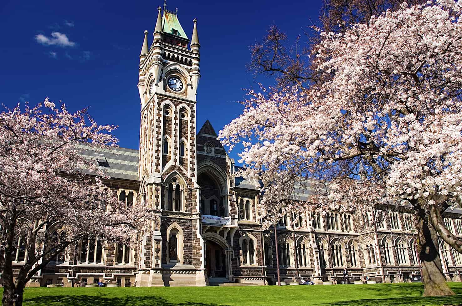 Otago, Nueva Zelanda: paisajes impresionantes y naturaleza salvaje