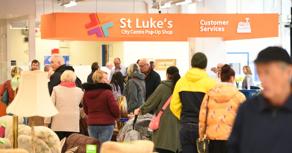 The Best Charity Shops in New Plymouth District 1 Mejores Tiendas de Caridad en Nueva Plymouth: Guía de Compras Solidarias