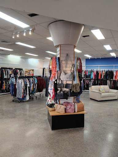 SPCA Op Shop Mt Eden